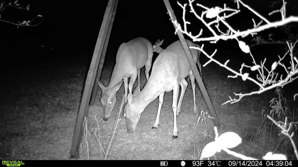 Paschal Add - Residential