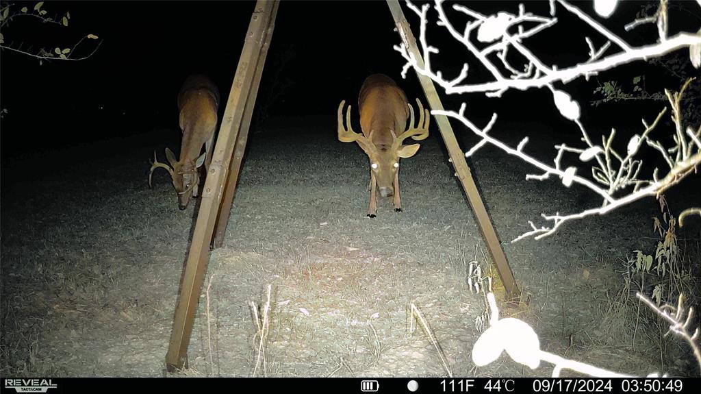 Paschal Add - Residential