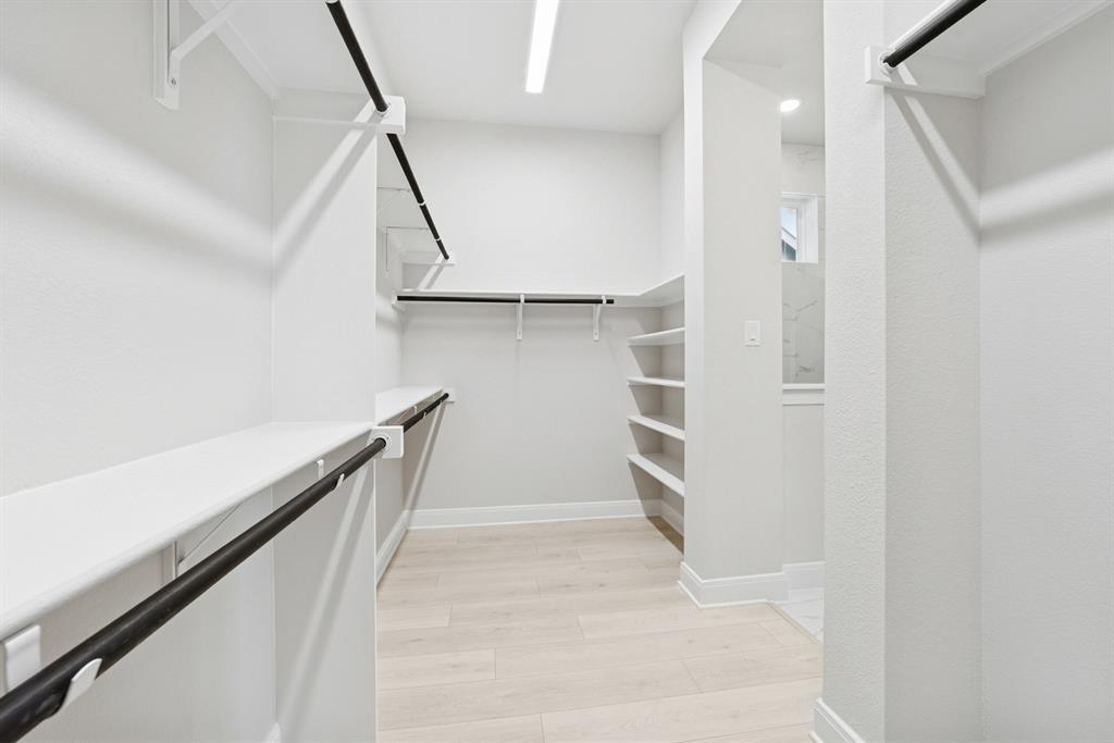 Painted Tree - Residential