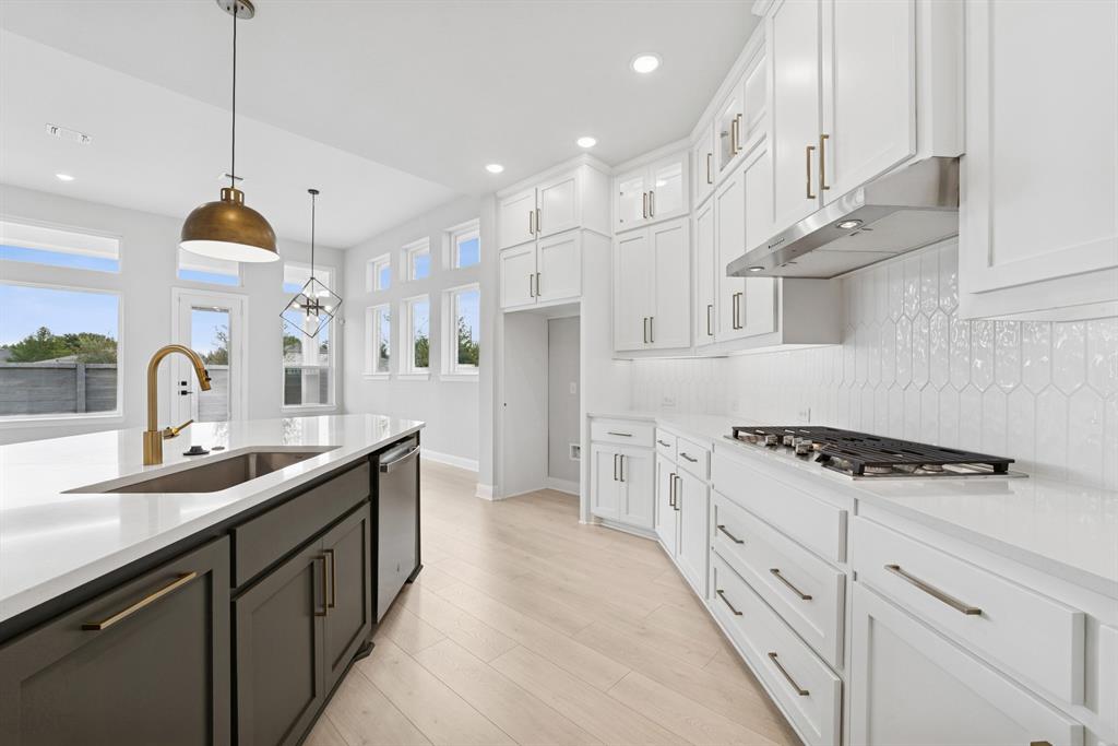 Painted Tree - Residential