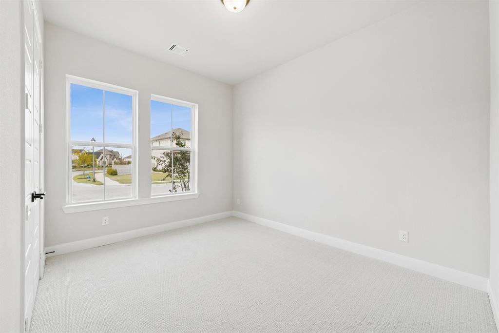 Painted Tree - Residential