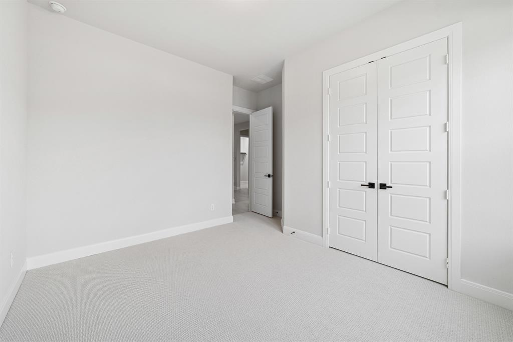 Painted Tree - Residential