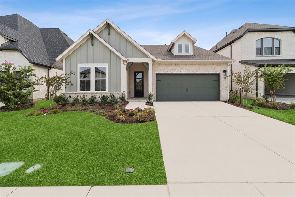 Painted Tree - Residential