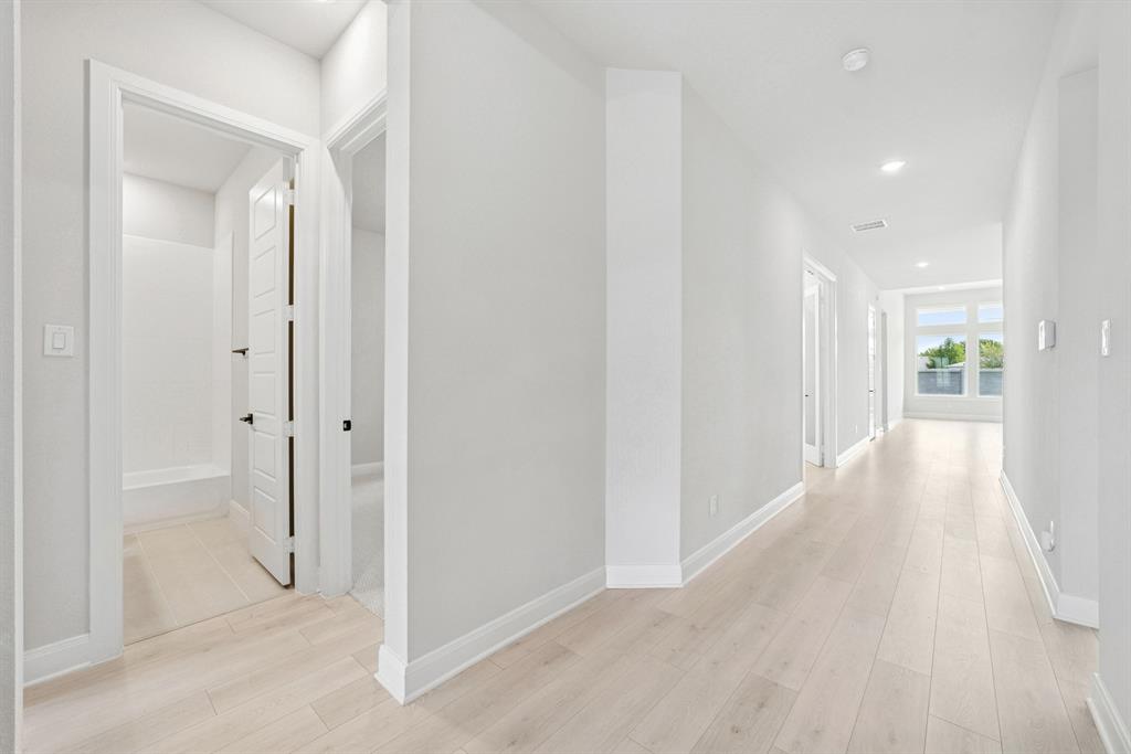 Painted Tree - Residential