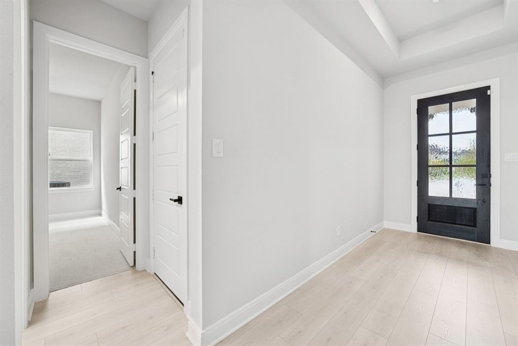 Painted Tree - Residential