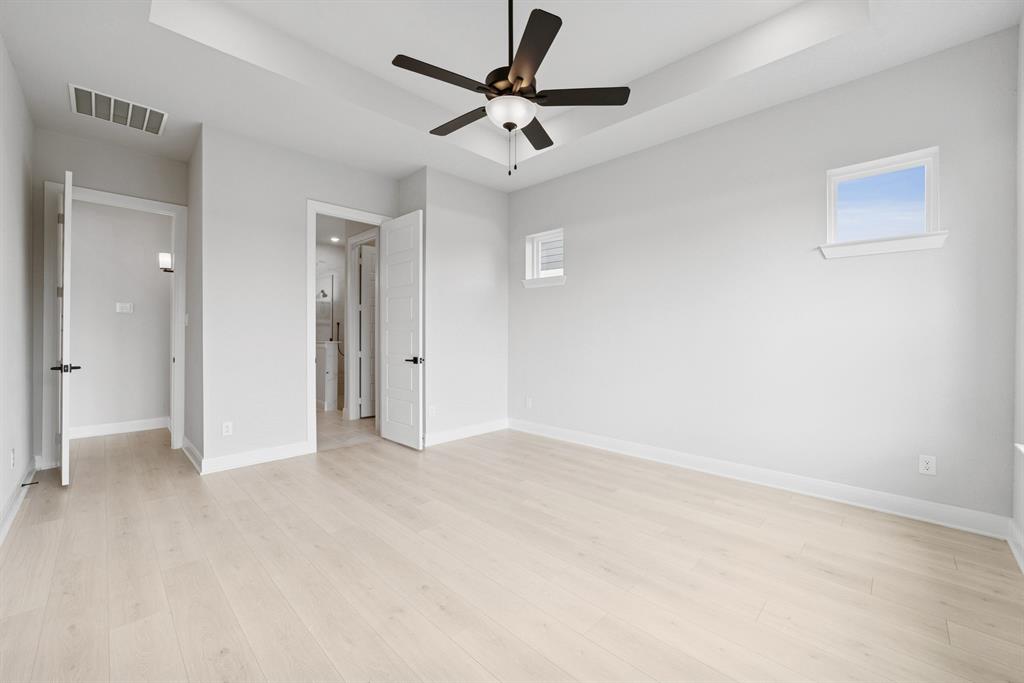 Painted Tree - Residential