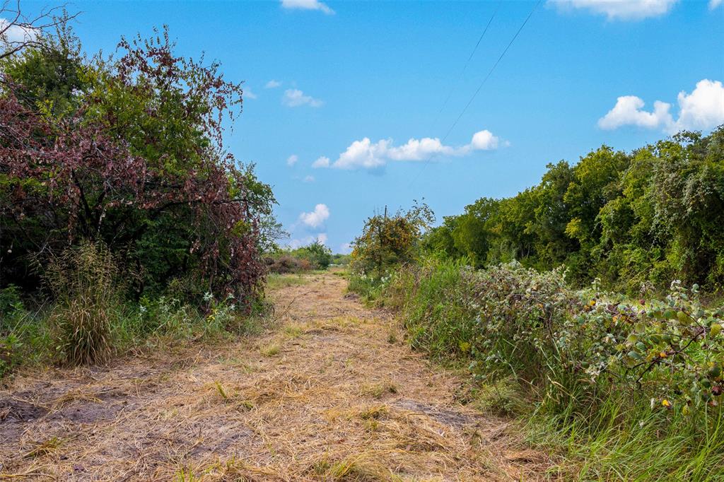 A030G P Varela-Groesbeck - Land