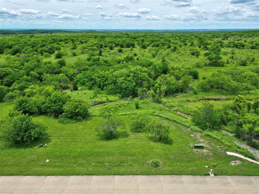 Are you ready to build the home you’ve always envisioned? This treed interior lot is perfectly positioned for such a design, offering both privacy and serenity. With no planned development behind you, this is a great opportunity to own your piece of the Lake Ridge Community! The community’s minimum home size requirement is set at 2,200 square feet, offering flexibility to create either a cozy retreat or a grand estate. Recent home sales in this desirable area have ranged from $820,000 to $2.4 million, highlighting the incredible investment potential here. As a member of this vibrant neighborhood, you will enjoy access to exceptional amenities, including Tangle Ridge Golf Course and Valley Ridge Park, which features a stocked fishing pond with a welcoming pier, a scenic 1.5-mile paved trail, playgrounds, and sports fields. With multiple parks, ponds, and walking trails nearby, there are endless opportunities for family fun and outdoor adventures. Additionally, you’ll appreciate the prime location, just minutes away from Joe Pool Lake, Lynn Creek Marina, and Cedar Hill State Park, making it easy to embrace an active outdoor lifestyle. Priced to sell - Come make an offer before someone else does!