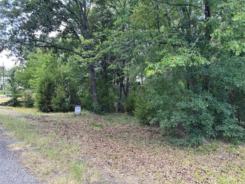 Photo of 6134 Tejas Drive, Mabank, TX 75156 (MLS # 21330261)