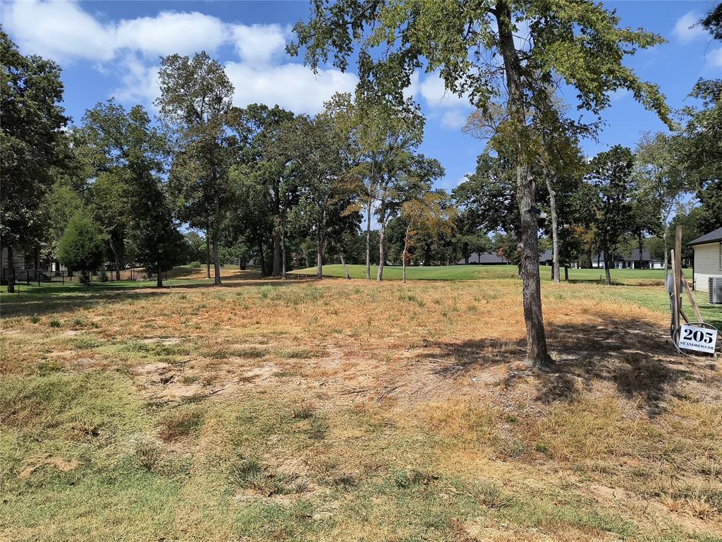 205 Saint Andrews Drive
