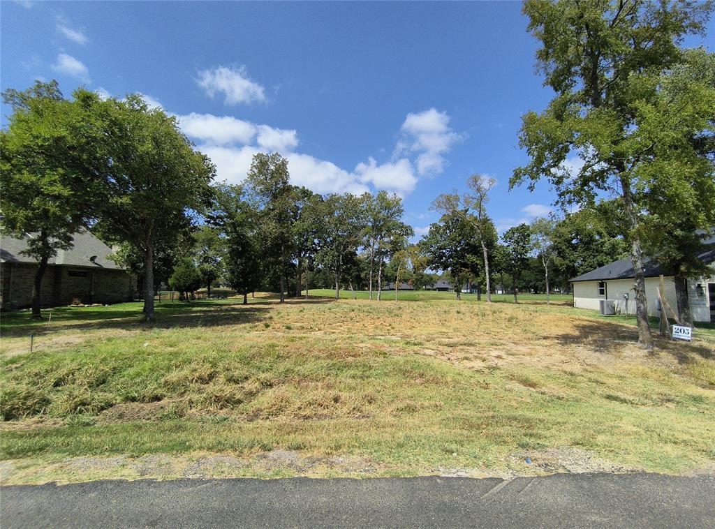205 Saint Andrews Drive