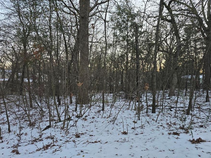 Discover the perfect opportunity with one of five contiguous lots. Purchase one, two, or all five side-by-side lots in the charming community of Gun Barrel City, just moments away from two exclusive private POA parks—one for swimming and another for boat launching. Situated in the sought-after Mabank Independent School District, recognized for its outstanding educational and athletic programs. The Loon Bay subdivision boasts convenient access to shopping, dining, and entertainment in a vibrant waterfront community. Plus, with a quick one-hour commute to both Dallas and Tyler, you’ll enjoy the best of both tranquility and city life. Don’t miss your chance to build your very own lakehouse.