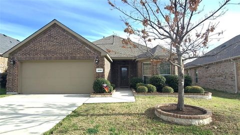 Photo of 1020 Lake Meadow Lane, Little Elm, TX 75068 (MLS # 21211588)