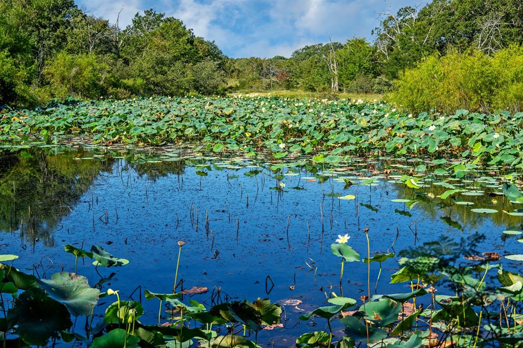 Johnston County unplatted - Farm