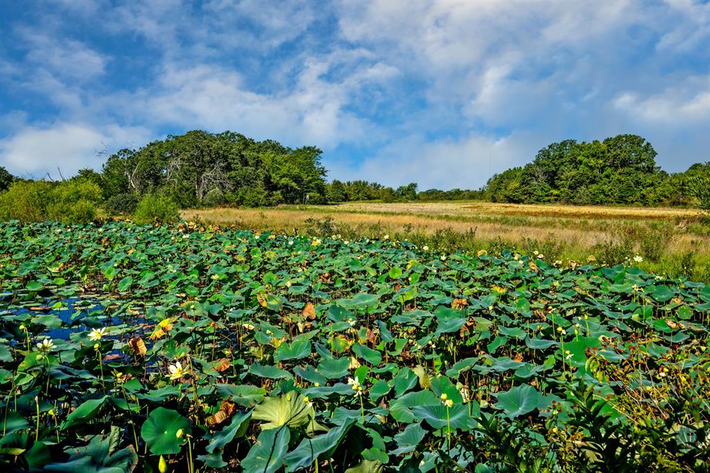 Johnston County unplatted - Farm