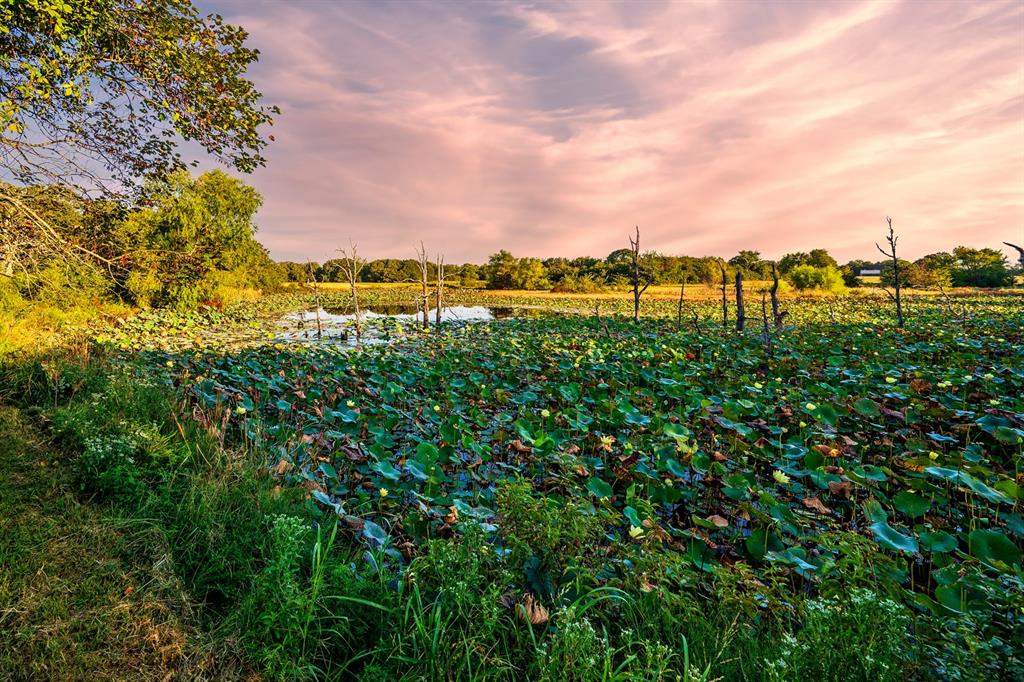 Johnston County unplatted - Farm