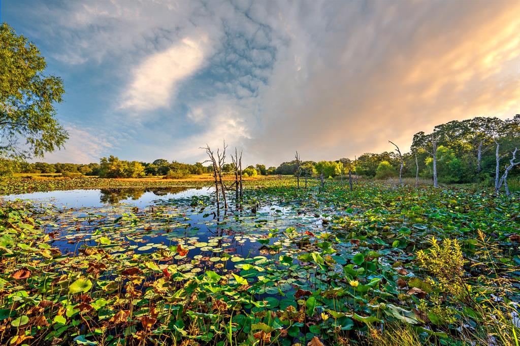 Johnston County unplatted - Farm