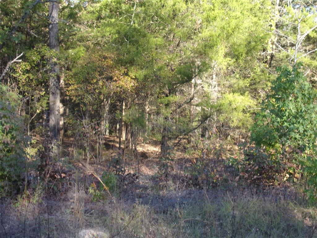 Hickory Hills - Land