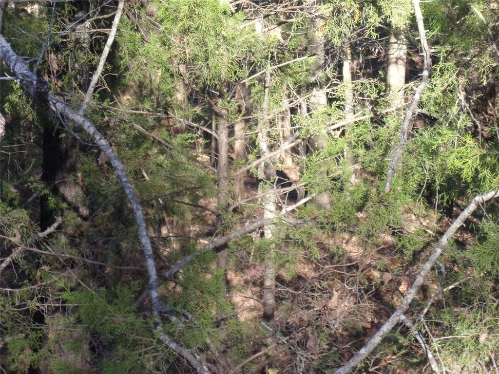 Hickory Hills - Land