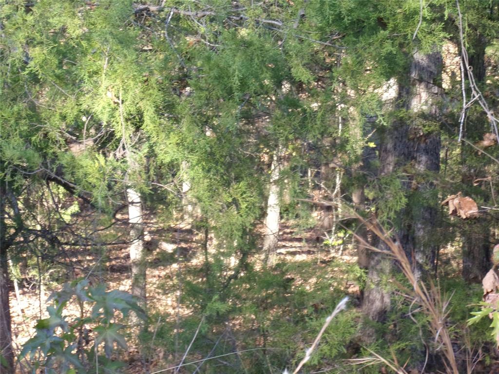 Hickory Hills - Land