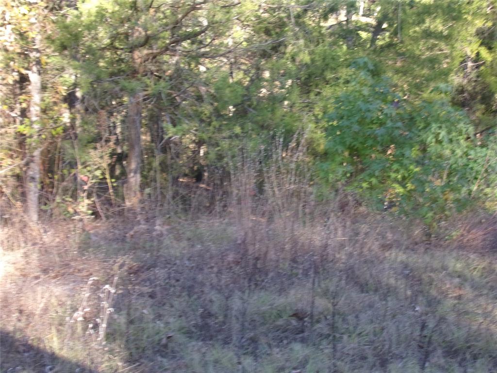 Hickory Hills - Land