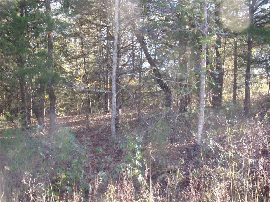 Hickory Hills - Land