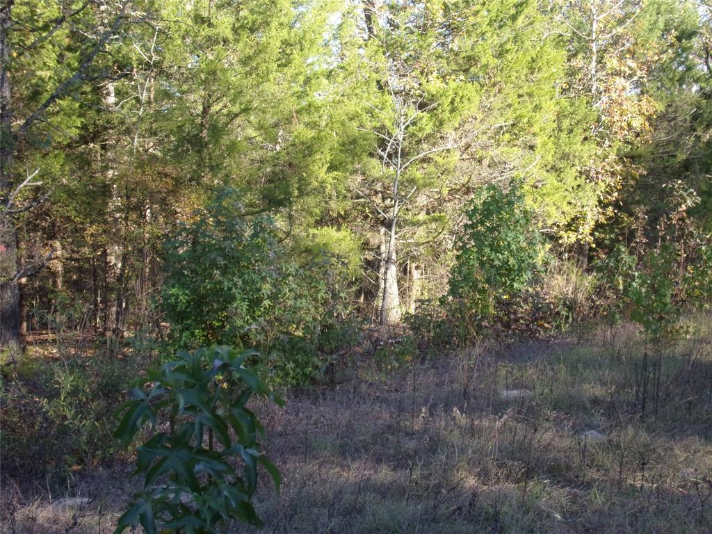 Hickory Hills - Land