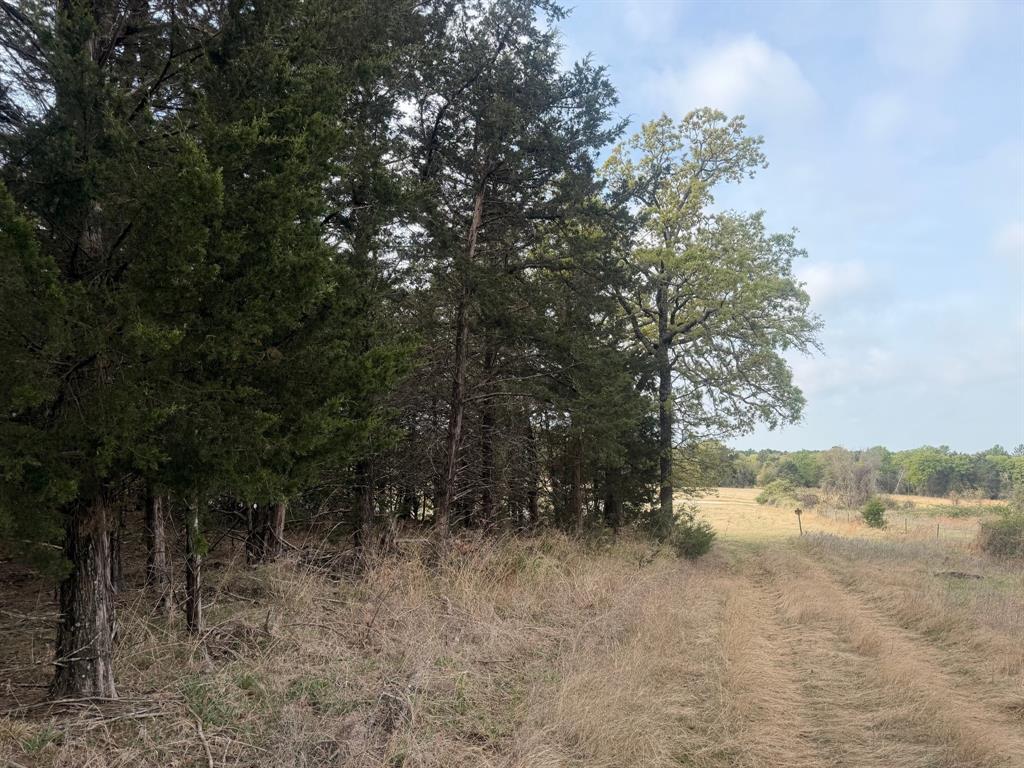 Block 84 of the Bell County School Land Survey - Farm