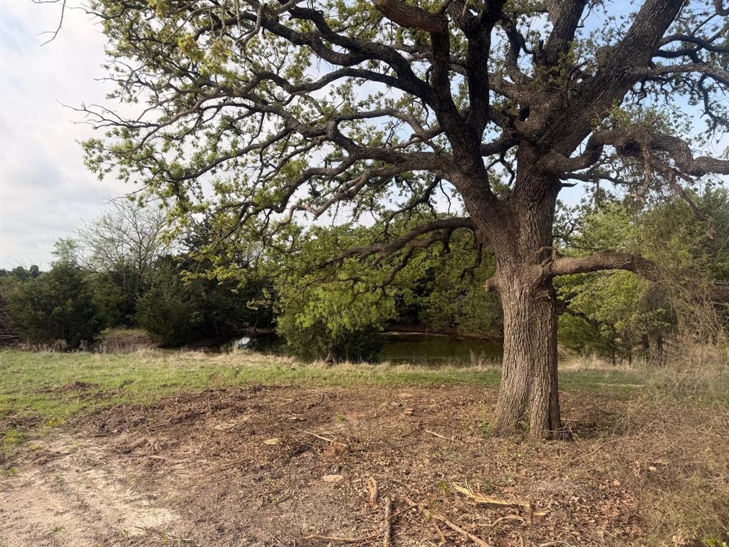 Block 84 of the Bell County School Land Survey - Farm