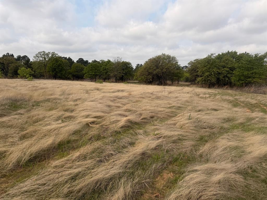 Block 84 of the Bell County School Land Survey - Farm