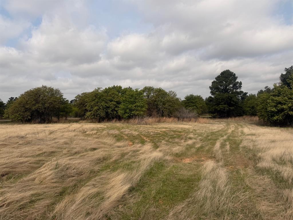 Block 84 of the Bell County School Land Survey - Farm