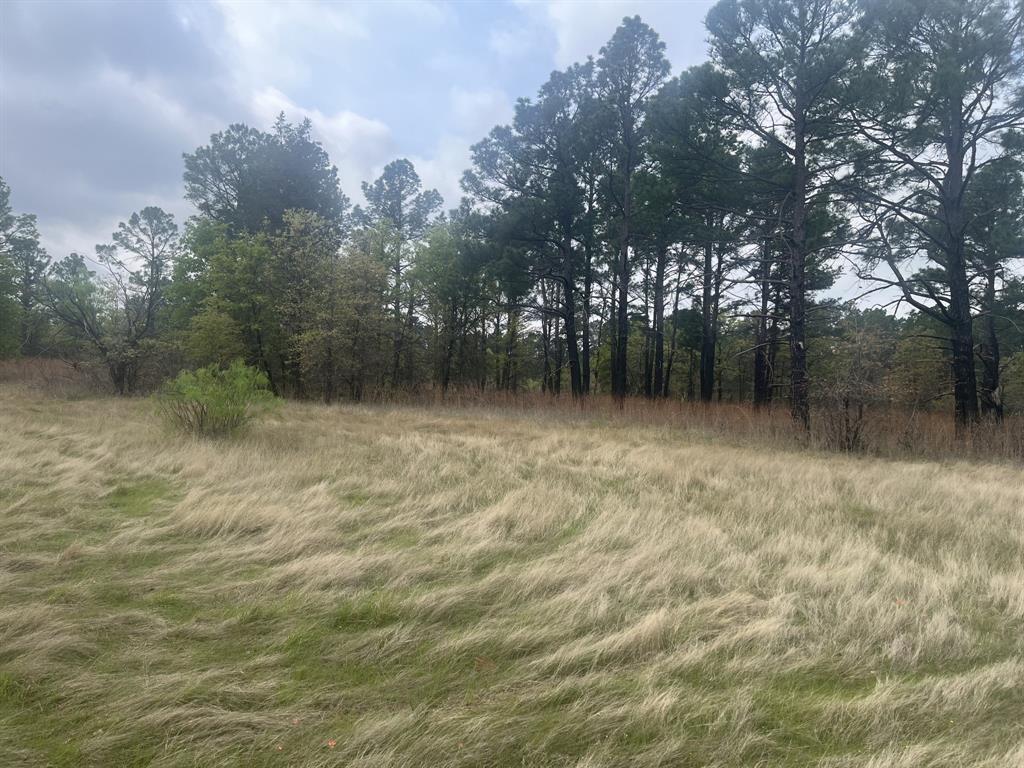 Block 84 of the Bell County School Land Survey - Farm