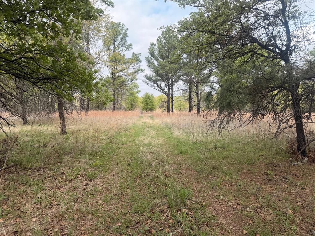 Block 84 of the Bell County School Land Survey - Farm