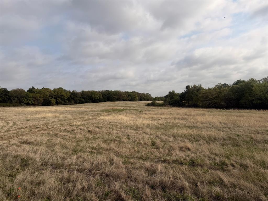 Block 84 of the Bell County School Land Survey - Farm