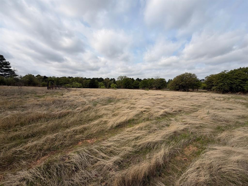Block 84 of the Bell County School Land Survey - Farm