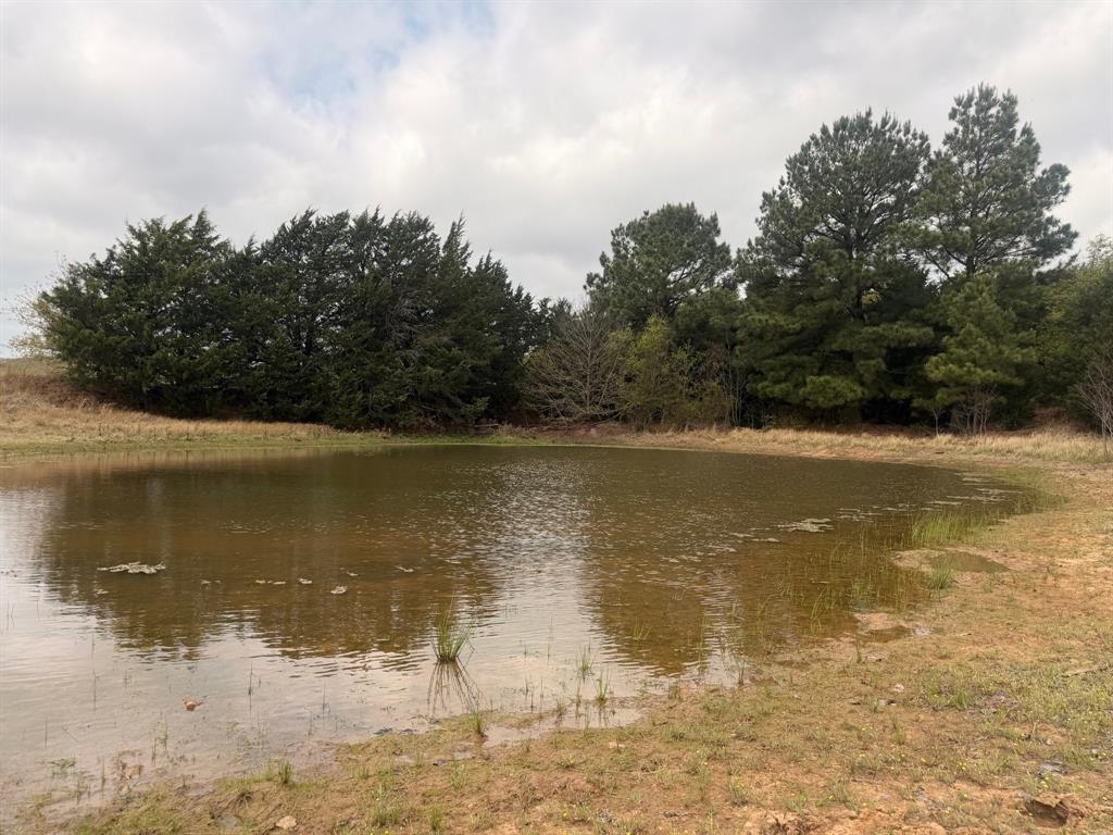 Block 84 of the Bell County School Land Survey - Farm