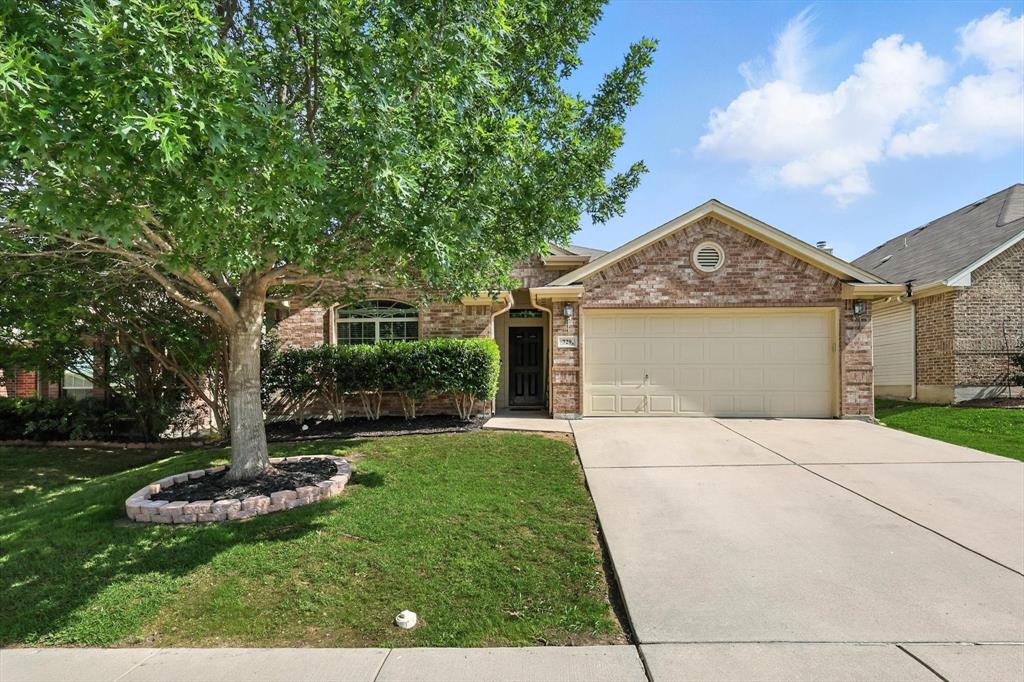 729 Poncho Lane