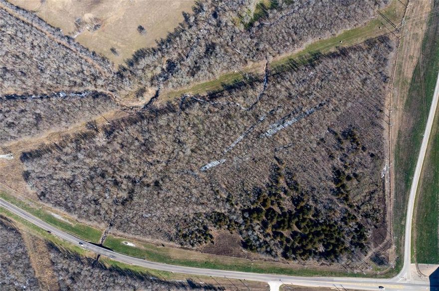 Property is a corner piece and has highway frontage along 24 and Hwy 11. Makes a great investment property. 26+ acres with heavy tree brush but has a gate entrance along hwy 11. Flood zone.