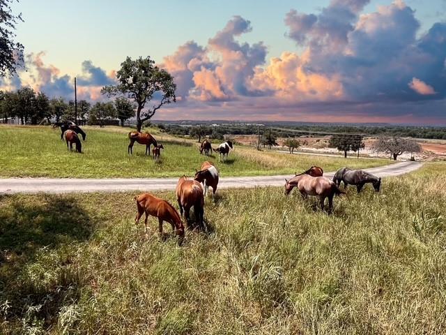 Western Lake Estates Sec A - Land