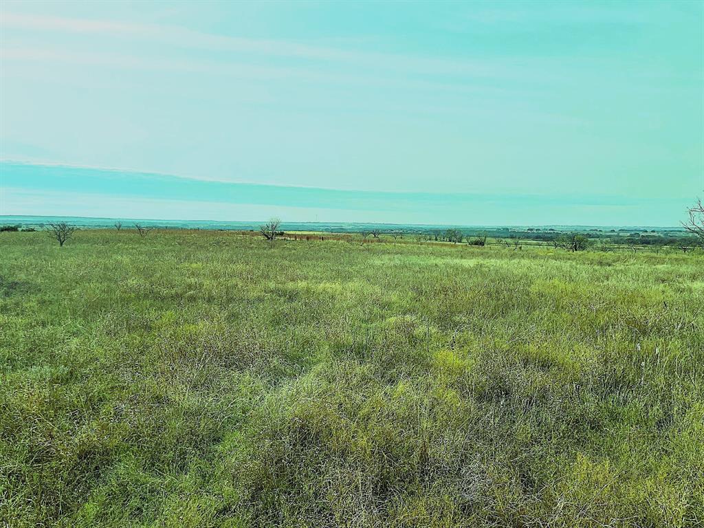 2335 County Road 619