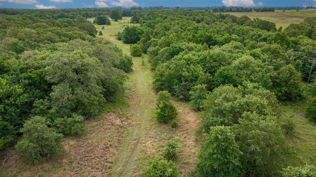 TBD County Road 104