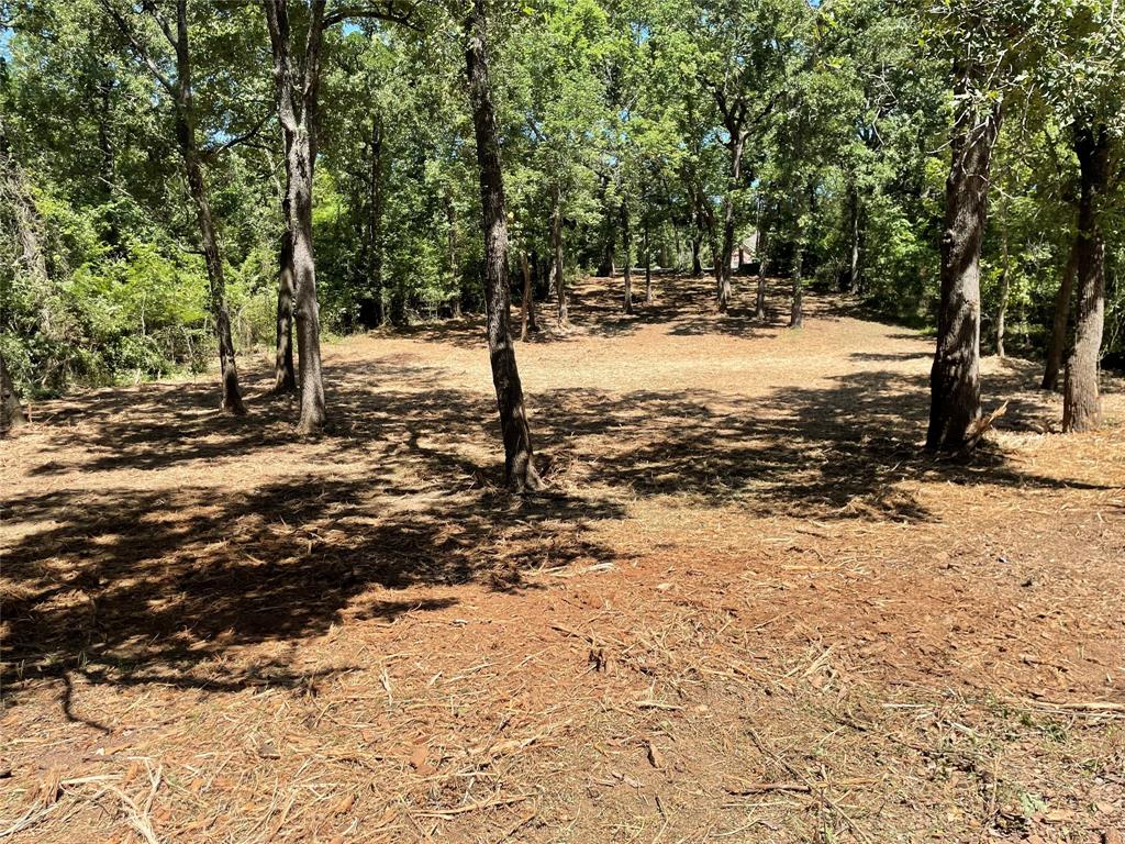 Point La Vista - Land