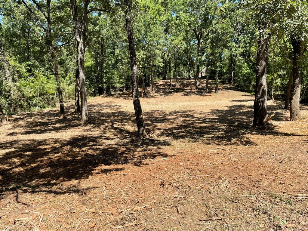 Point La Vista - Land