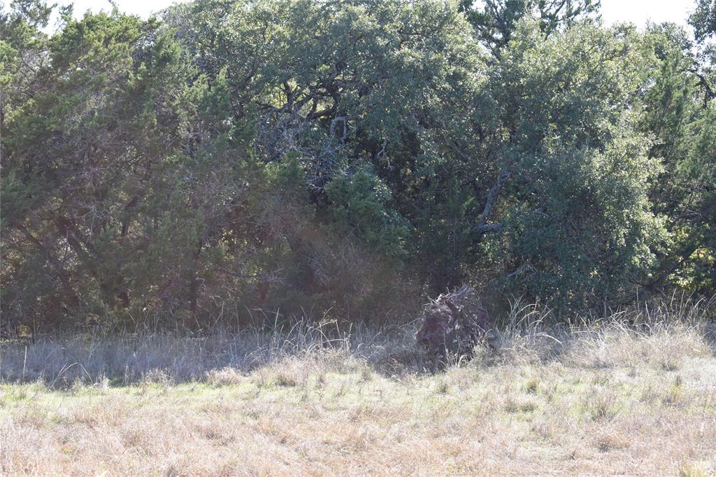 6525 Archerfield Court W