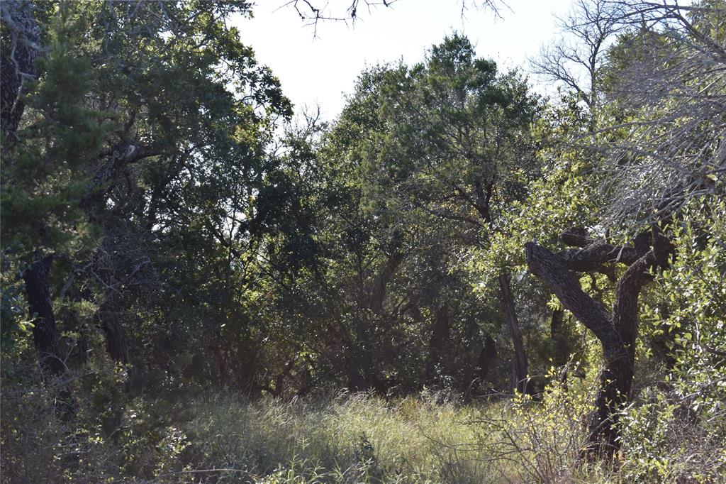 6525 Archerfield Court W