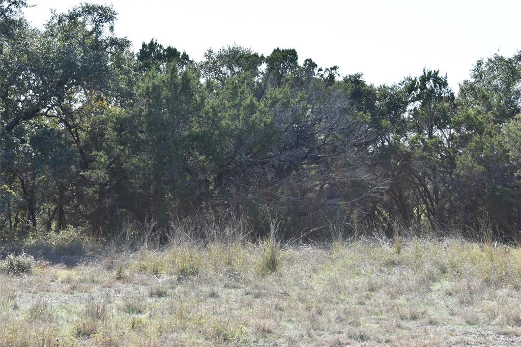 6525 Archerfield Court W