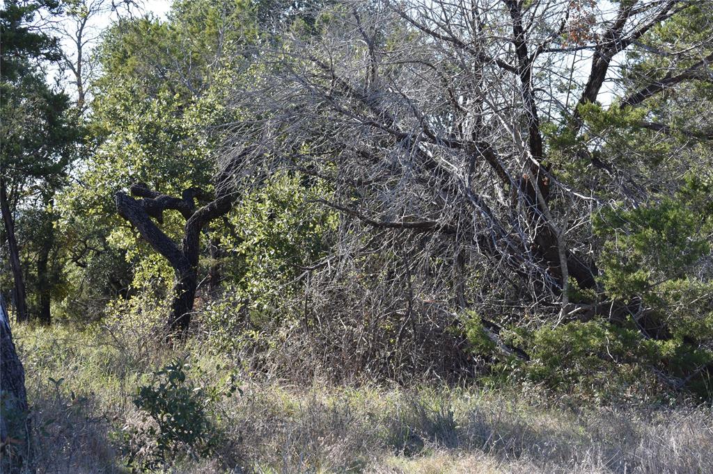 6525 Archerfield Court W