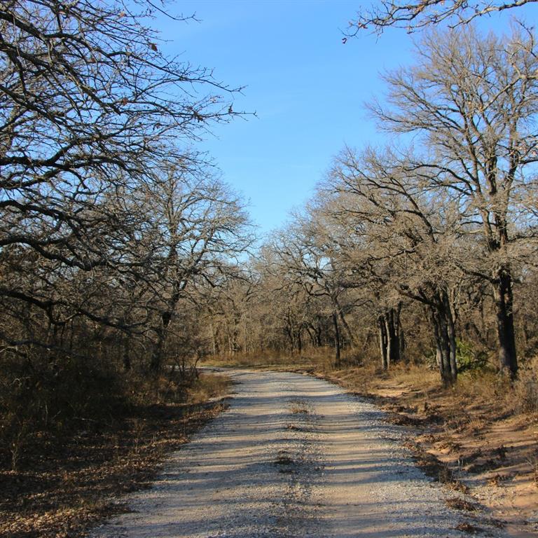 Jj Gholson Surv Abs 324 - Land