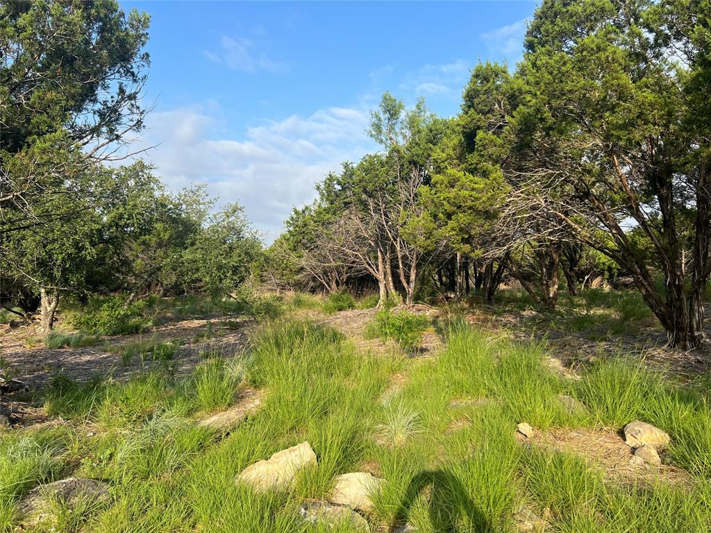 Vista Ridge Ranch - Land