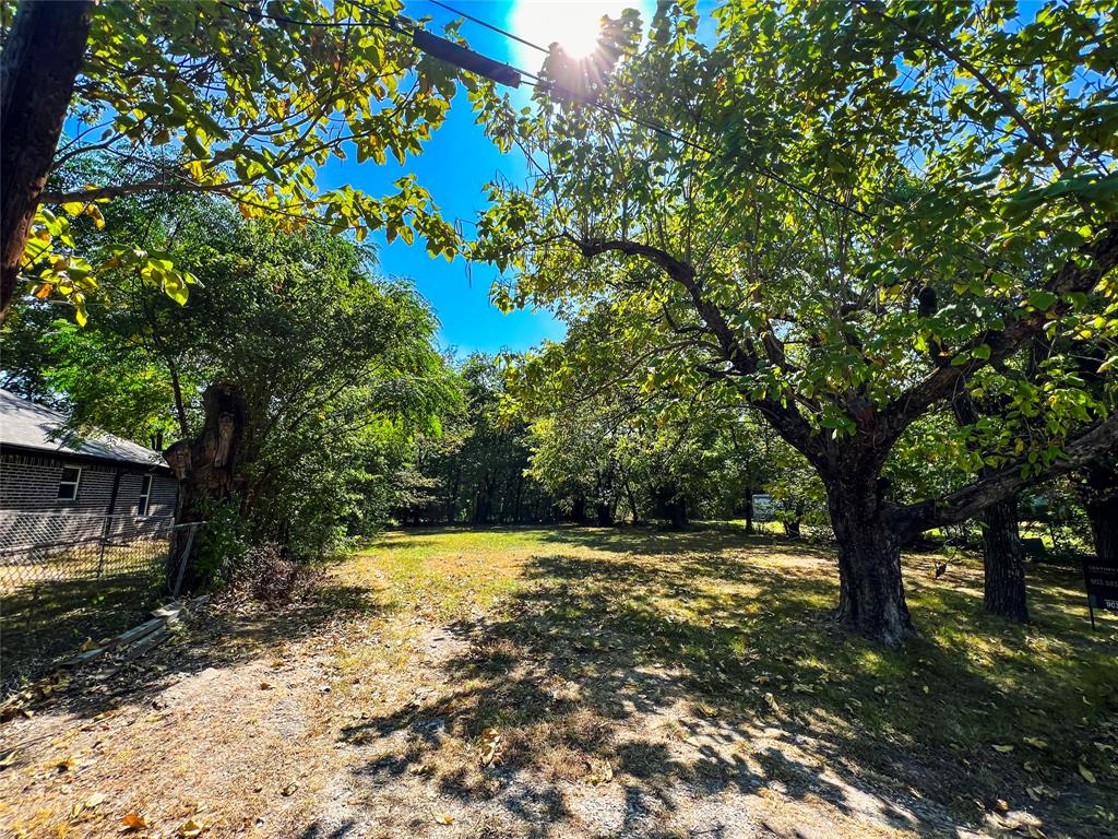 H. Burkhardt Survey - Land